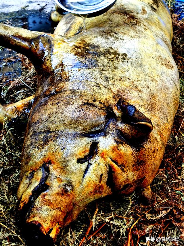 凉山彝族节日大全，浓浓普格风情独特普格风俗