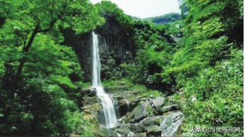 石门一日游景点，湖南石门县白云山国有林场旅行攻略