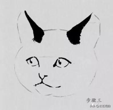 100种小猫怎么画，100种画真猫的画法（教你在纸上养个主子）