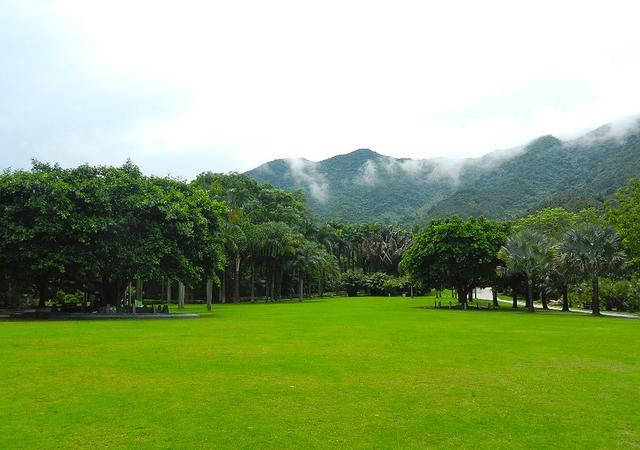 深圳市仙湖植物园，深圳仙湖植物园适合夏天逛吗（深圳仙湖植物园现场实拍图来了）