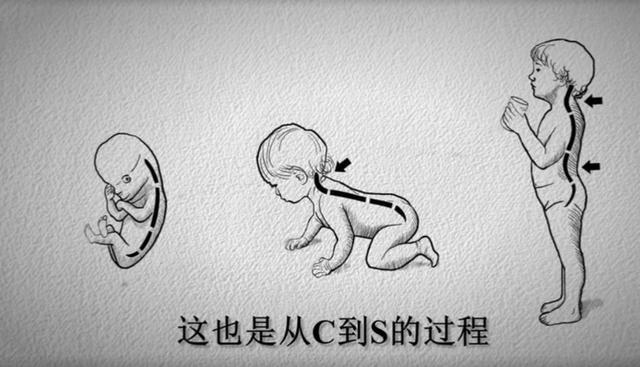 中国脊柱脊髓杂志，脊柱脊髓杂志中文（关于举办中国康复医学会第十五届脊柱脊髓专业委员会学术会议的通知）