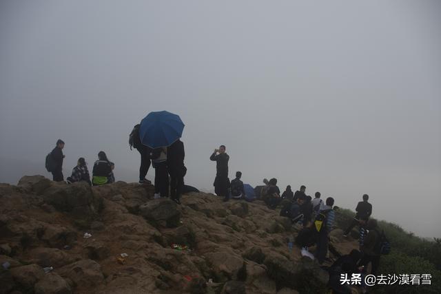 深圳梧桐小镇露营，可以带她在深圳这样玩