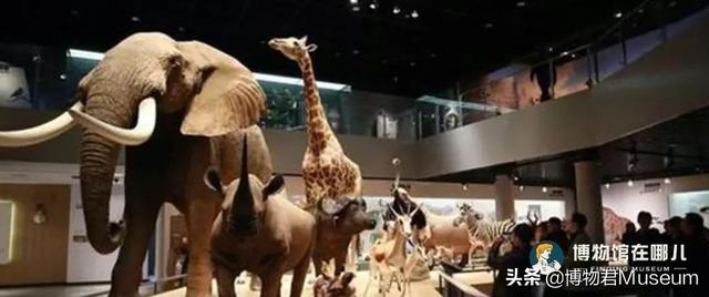 杭州博物馆有哪些，杭州有多少个博物馆