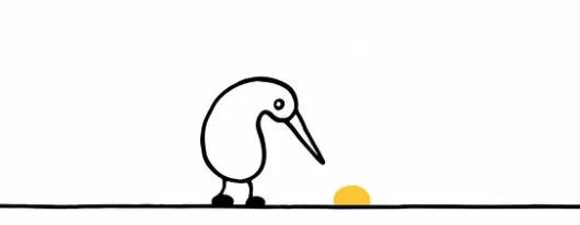 什么鸟没有翅膀，世界上有一种没有翅膀的鸟（却没有翅膀和尾巴）