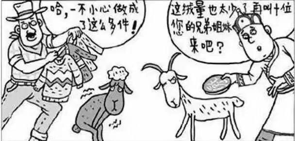 羊绒和细羊毛的区别，羊毛和羊绒到底有什么区别