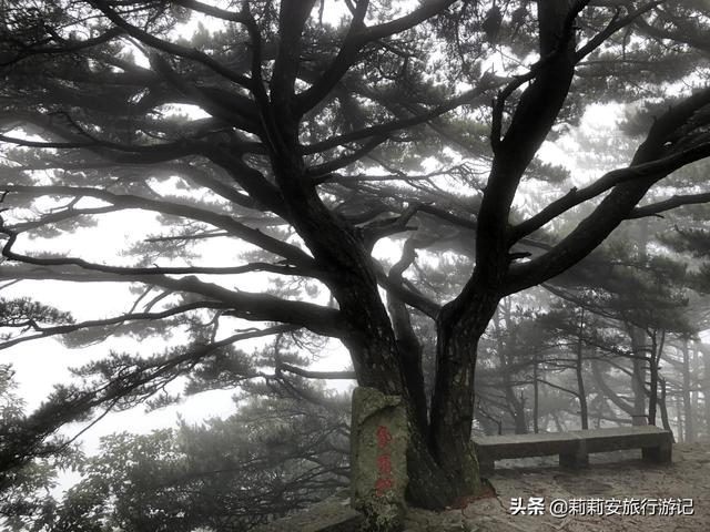 徒步南迦巴瓦峰最佳观景台，雾中徒步薄刀峰