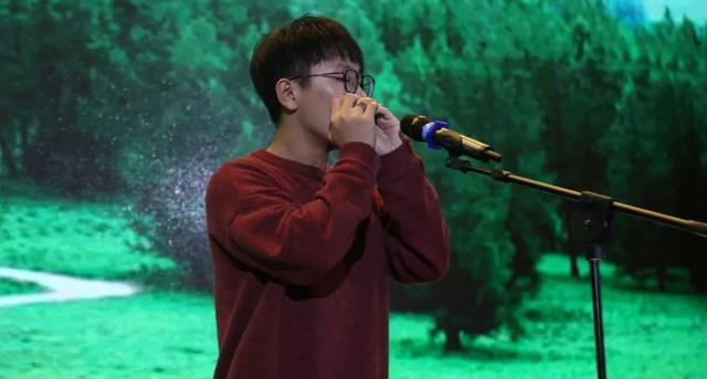 复音口琴吹奏全集，复音口琴的各种吹奏法