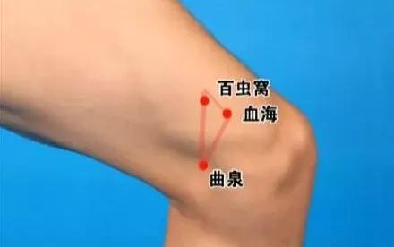 脏器排毒时间表，人体六大器官排毒时间表（器官真的会按照时间表排毒吗）