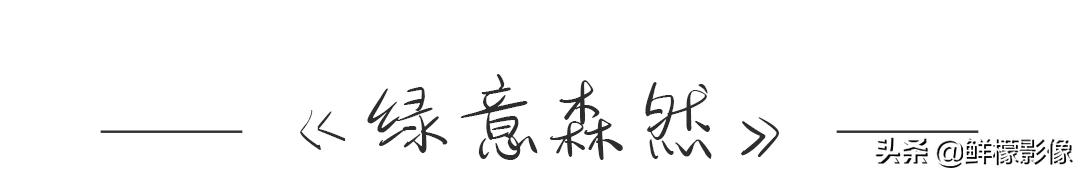 现实生活法式吻，520吻照图鉴kiss的108式