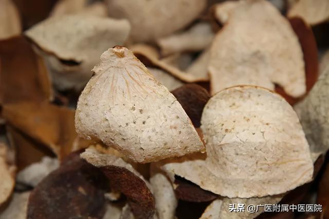 为什么三年的陈皮这么好，陈皮你“泡”对了吗