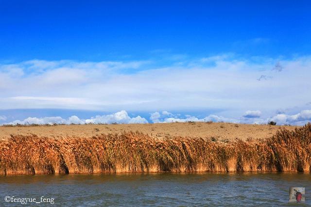 沙湖旅游景点介绍，宁夏沙湖旅游景点介绍（生态呵护成就沙湖“老”景区的“新”风貌）