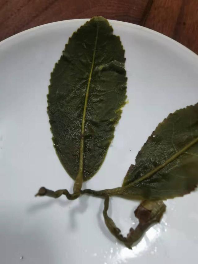 阿里山金萱乌龙茶，高山乌龙茶的特征