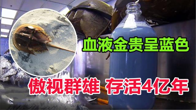史前最吓人的掠食动物，它们是令人闻风丧胆的远古顶级掠食者