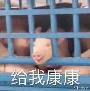 美队和雷神的肌肉，看雷神女演员如何评论美队私照曝光事件