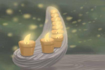 白色康乃馨花语，你知道康乃馨的花语是什么吗（白色的康乃馨花语代表什么）