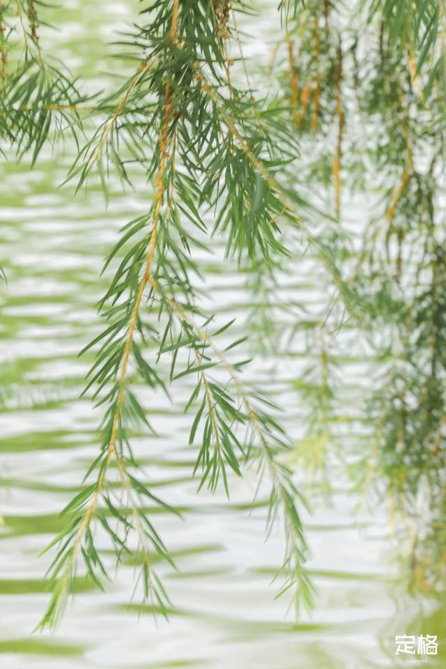 莲花山公园 网红打卡地，莲花山公园又红了