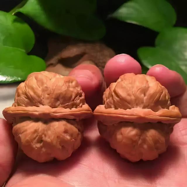核桃盘多久能红，核桃怎么盘红得快（7天，核桃盘成牛津红）