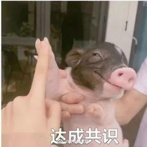 又虐又非常甜的剧，这部高能甜剧一定要戴耳机