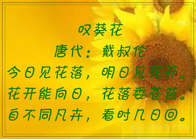 傲阳的诗句大全，倾阳丹心独自在