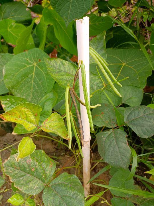 为什么很多人去印尼打工，记录印尼打工生活点滴