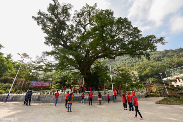 广西最好的山水田园，广西7处山水田园风光