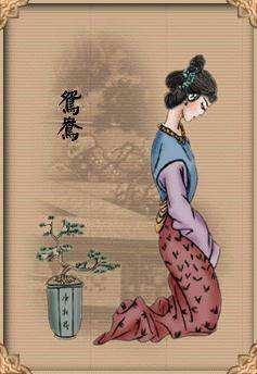 红楼梦里面的人物，红楼梦18个人物解析（红楼梦人物的性格特点）