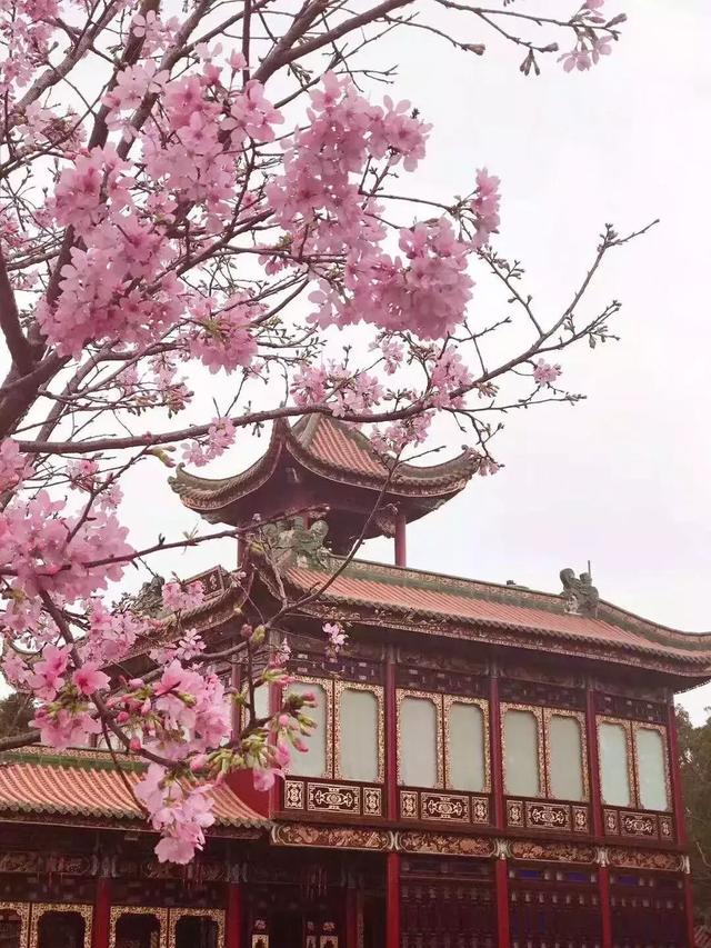 广州番禺十大景区，全域旅游游园赏景看岭南文化...这样的番禺你约不约
