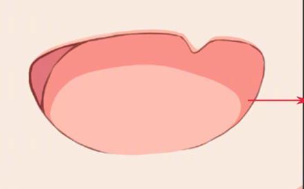 漫画嘴巴怎么画，画动漫嘴巴简单教程