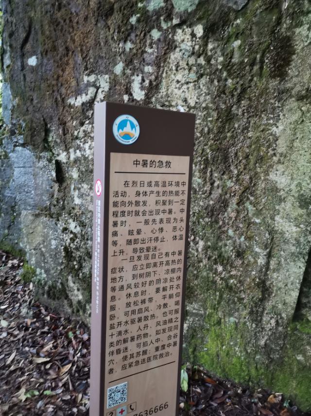 武功山旅游攻略，武功山旅游攻略一日游（江西武功山\u0026仙凤三宝亲子游记）