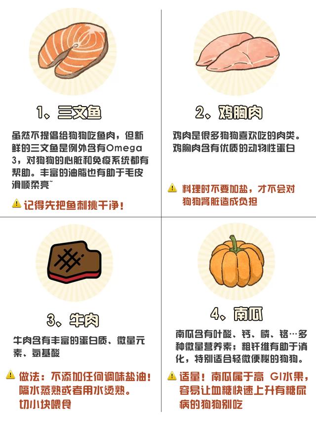 狗狗能吃什么东西，狗狗要多吃的七种食品（狗狗可以吃的10种人类食物）