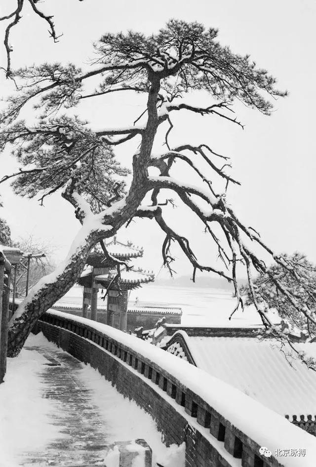 北海公园的文化底蕴，画说北京北海公园的前世今生