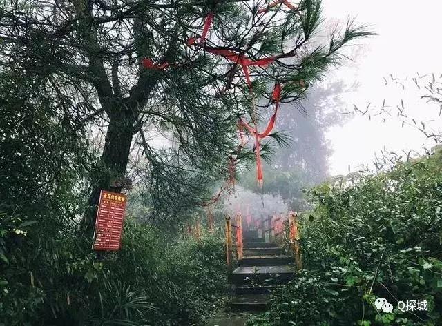 春节重庆旅游攻略必备，重庆人春节不出远门这里瞧