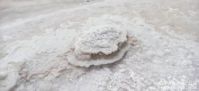 定边县属于哪个市，陕北榆林定边县