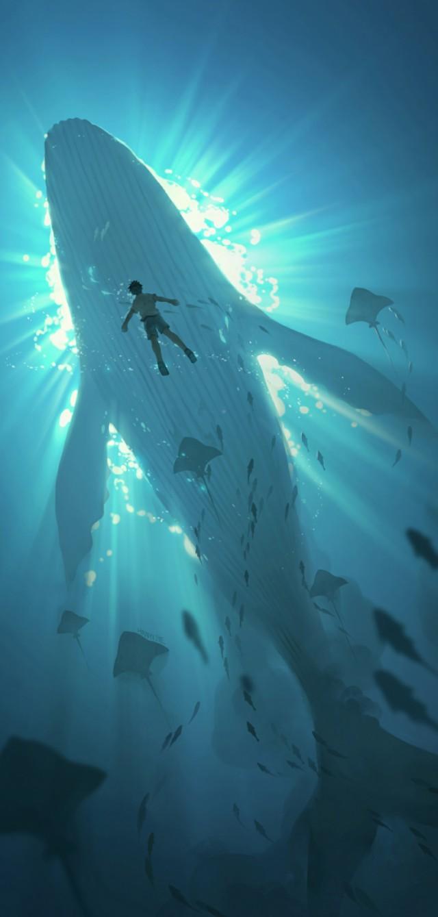 优阿壁纸精选大鱼壁纸，3d鱼壁纸（用这组壁纸开启愉快的一天吧）