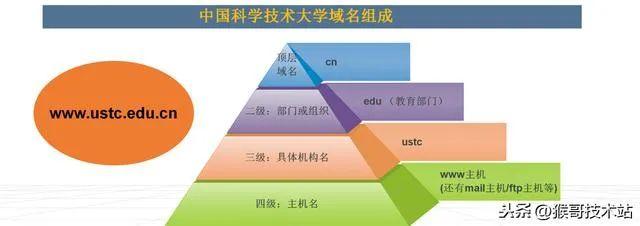 域名如何解析到服务器ip，域名解析为ip地址的主要流程