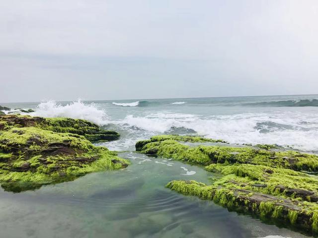 惠州海岛旅游景点哪里好玩，惠州野沙滩大汇总：8个野沙滩