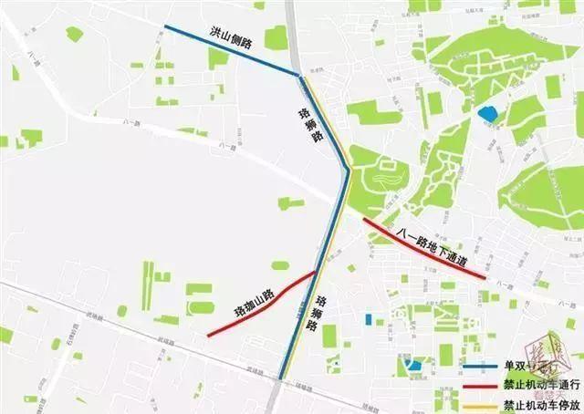 武汉大学的樱花，武汉大学赏樱花去哪里（报！武汉大学早樱开了）