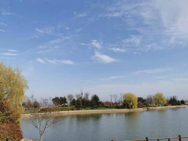 清明适合赏花的地方，纷纷春雨过后是最美人间四月天