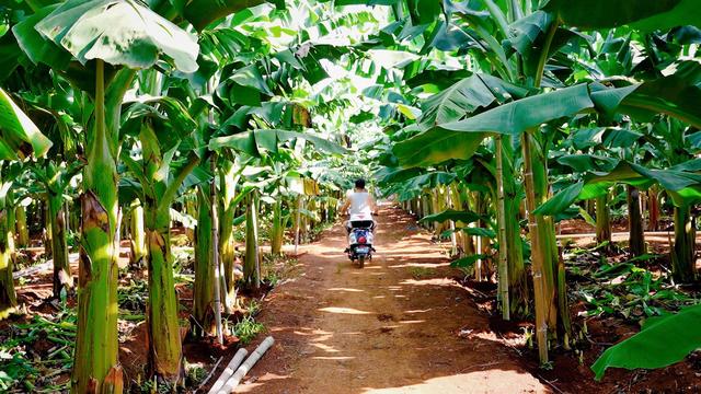 硇洲岛旅游攻略，湛江硇洲岛景点（探秘南极村+硇洲岛+东海岛+特呈岛）