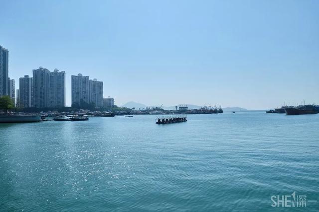 深圳湾海滨公园，冬天深圳湾海滨公园（深圳值得去的70个公园）