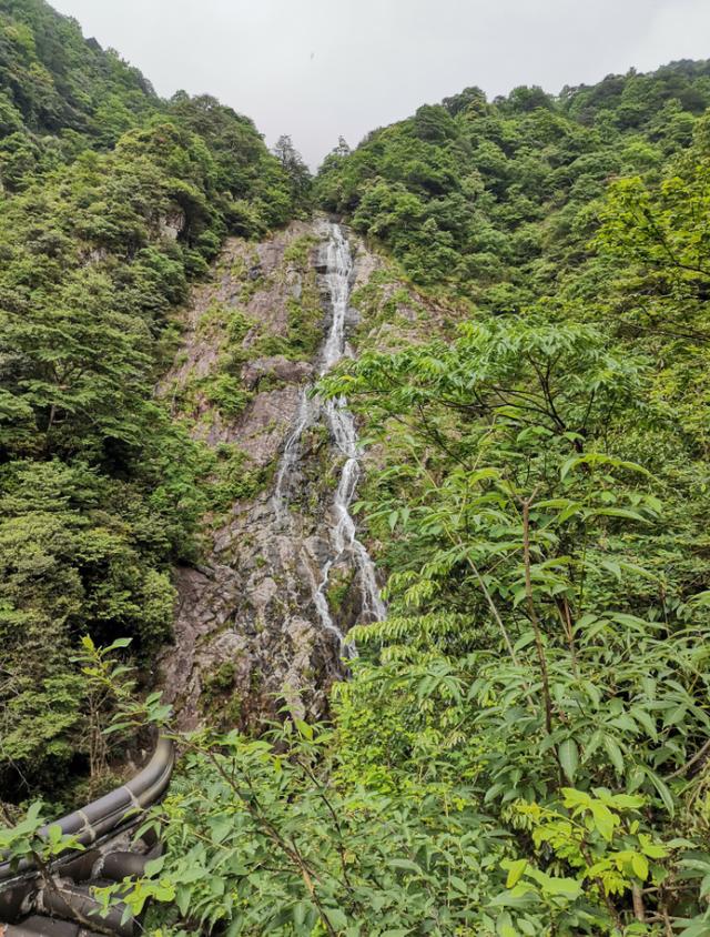 武功山旅游攻略，武功山旅游攻略一日游（江西武功山\u0026仙凤三宝亲子游记）