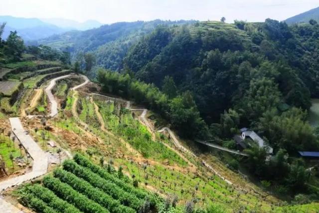 浙江省金华市磐安县城上村，磐安方前镇又出现一个网红打卡村