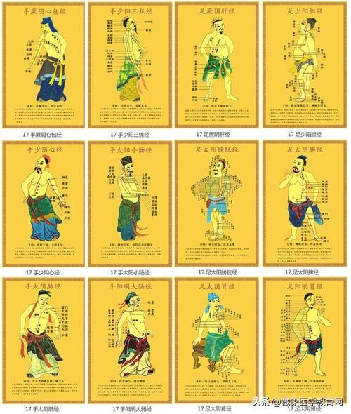 十二经络循行路线，十二经脉循行走向与交接规律图解（<十分钟教你终生不忘）