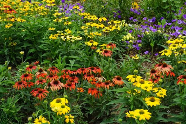 北京必玩景点排名，北京必玩的十个景点排名榜单（北京最值得去的12个景区）