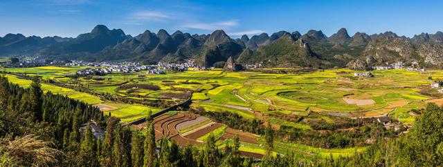 罗平油菜花最佳时间，去罗平看油菜花攻略