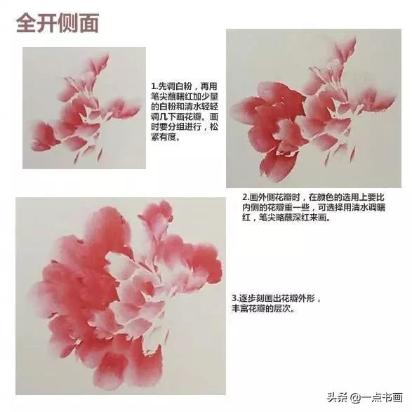 牡丹花头的画法对照表，写意牡丹花头的各种画法