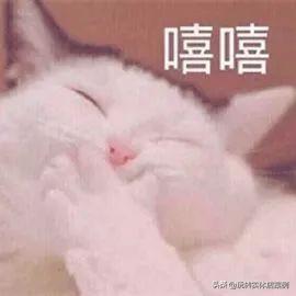 抖音官方首次公布爆款心法，实体店也能操作引流！