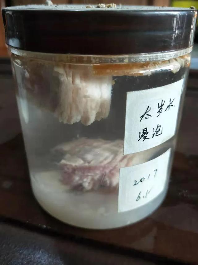 太岁肉灵芝为什么那么稀有，真假太岁肉灵芝的知识论述