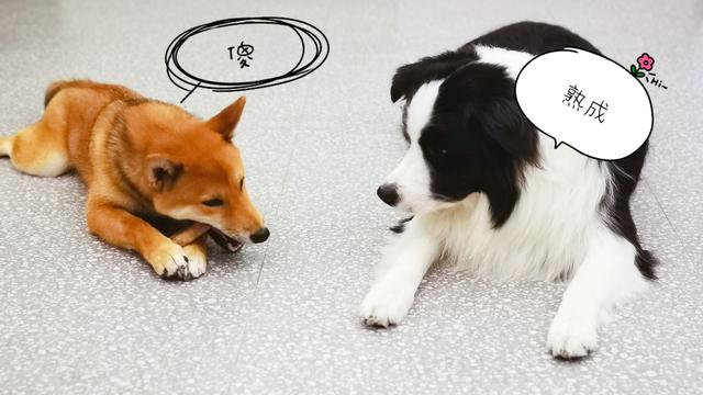 熟化产品是什么意思，杂谈熟成究竟是什么