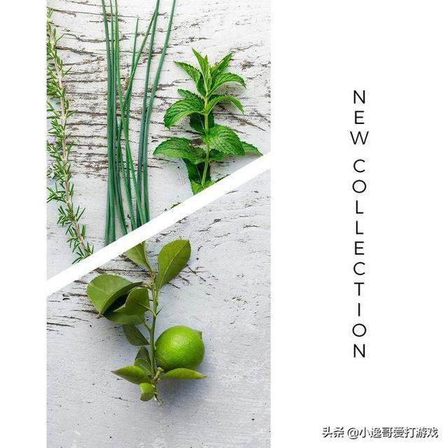 精美一句话唯美短句，超美文艺小短句